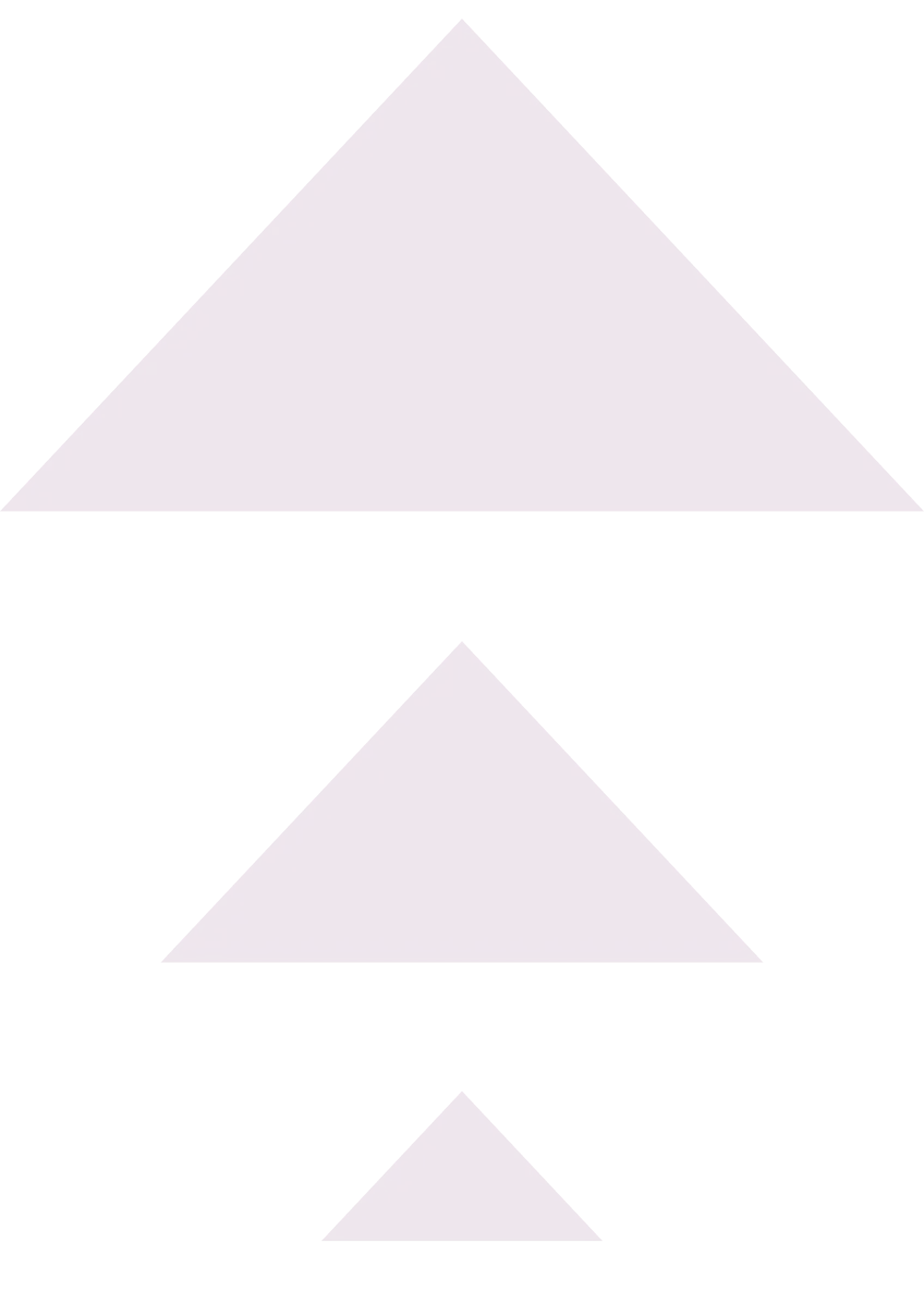 elevate arrows e1755276467600